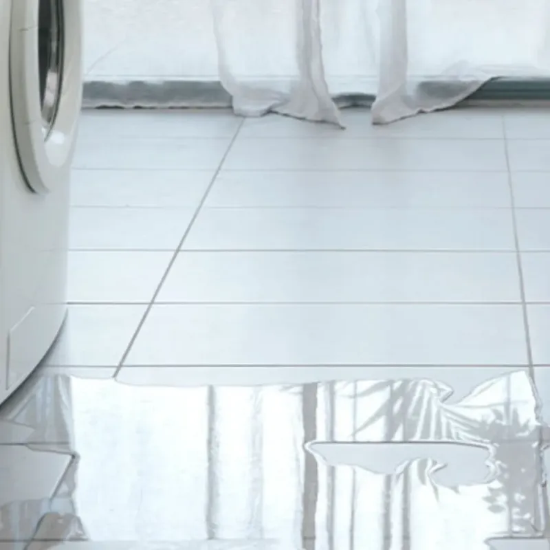 Appliance Leak Cleanup in Farmersville, CA