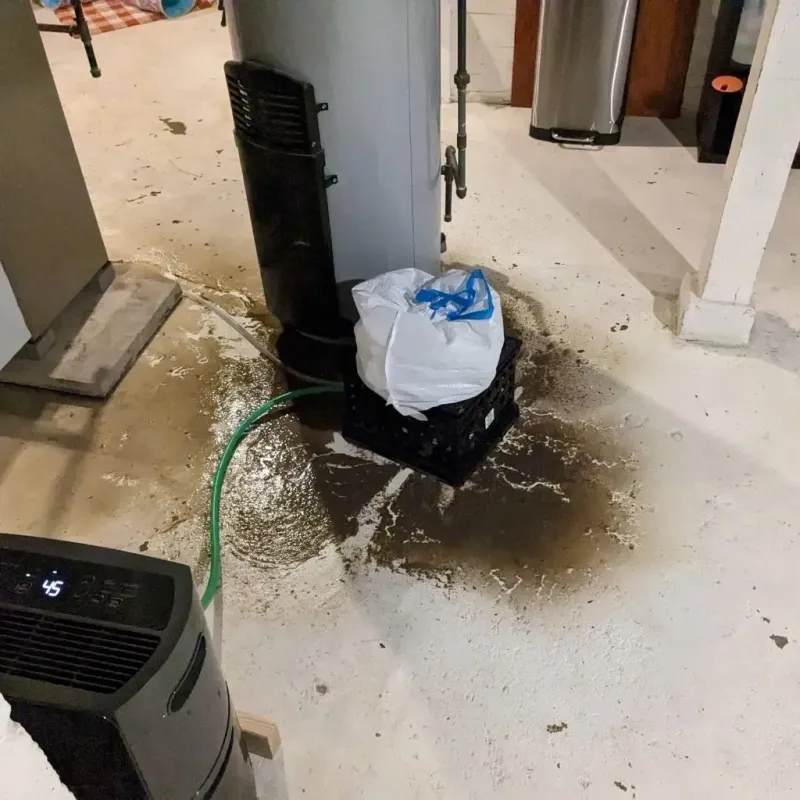 Sewage Backup Cleanup Service in Farmersville, CA